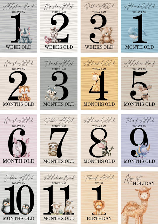 Bright Animal Islamic Milestone Cards - Muslim baby girls and boys - Islamic gifting - new and expectant parent gifting - baby gifting My Store